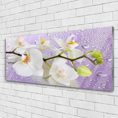 Schilderij op acrylglas Bloemen plant nature