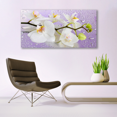 Schilderij op acrylglas Bloemen plant nature