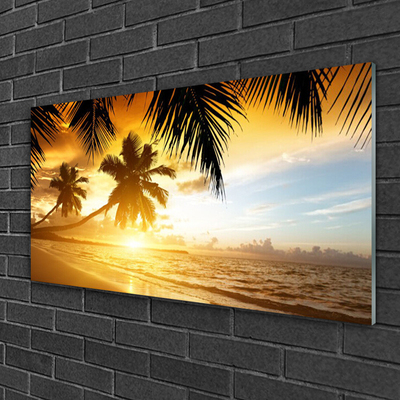 Schilderij op acrylglas Palm beach overzees landschap