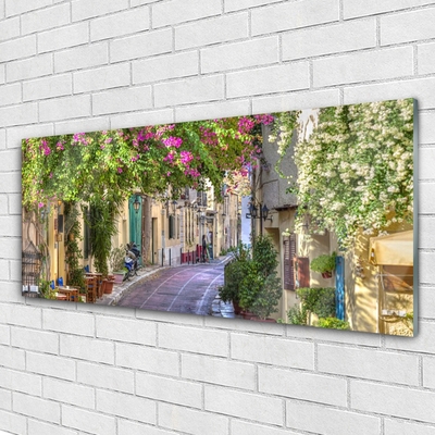 Schilderij op acrylglas Huizen alley flowers plant