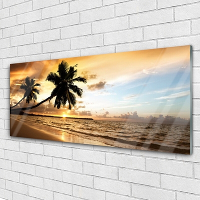 Schilderij op acrylglas Palmbomen strandlandschappen