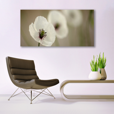 Schilderij op acrylglas Natuur bloem plant