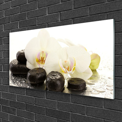 Schilderij op acrylglas Flower stones art