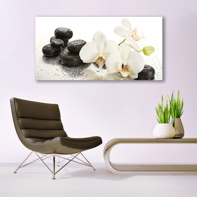 Schilderij op acrylglas Stenen bloem plant