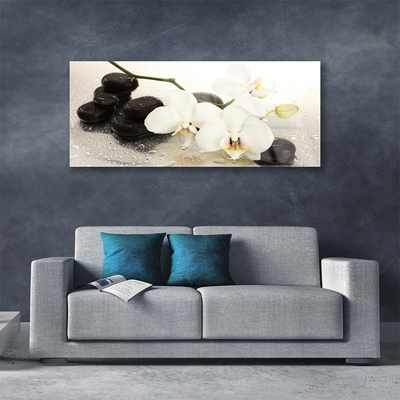 Schilderij op acrylglas Mooie bloem orchidee