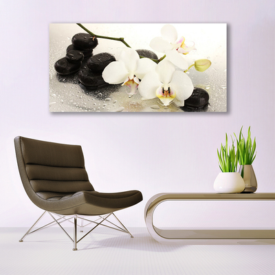 Schilderij op acrylglas Mooie bloem orchidee