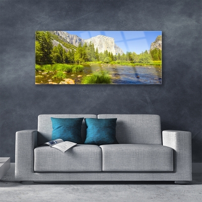 Schilderij op acrylglas Forest lake mountain nature