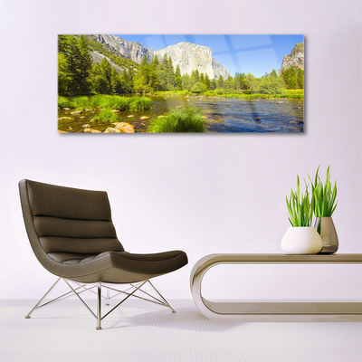 Schilderij op acrylglas Forest lake mountain nature