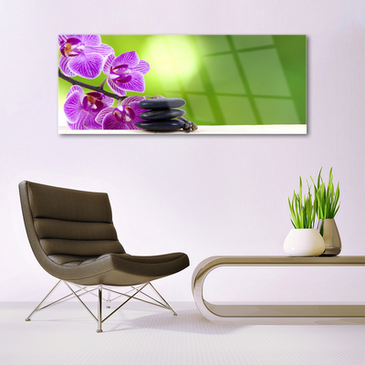 Schilderij op acrylglas Orchideeën groene bloemen