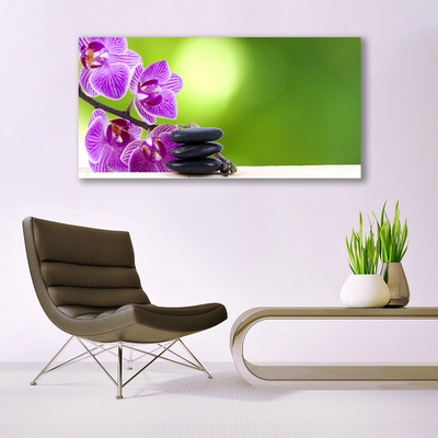Schilderij op acrylglas Orchideeën groene bloemen