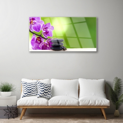 Schilderij op acrylglas Orchideeën groene bloemen