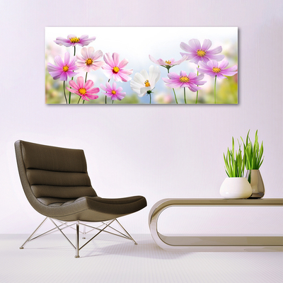 Schilderij op acrylglas Bloemen plant nature