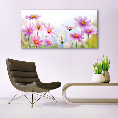 Schilderij op acrylglas Bloemen plant nature