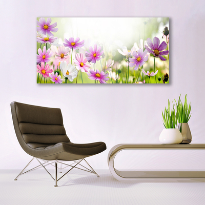 Schilderij op acrylglas Bloemen plant nature