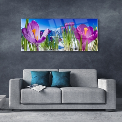 Schilderij op acrylglas Bloemen plant nature