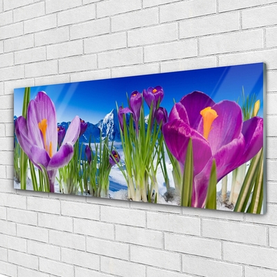 Schilderij op acrylglas Bloemen plant nature