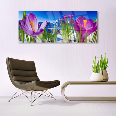 Schilderij op acrylglas Bloemen plant nature