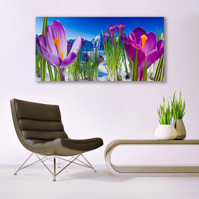 Schilderij op acrylglas Bloemen plant nature