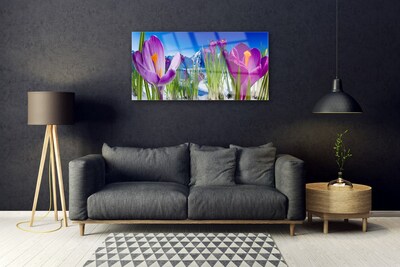 Schilderij op acrylglas Bloemen plant nature