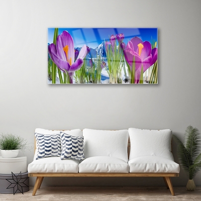 Schilderij op acrylglas Bloemen plant nature