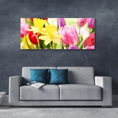 Schilderij op acrylglas Bloemen plant nature