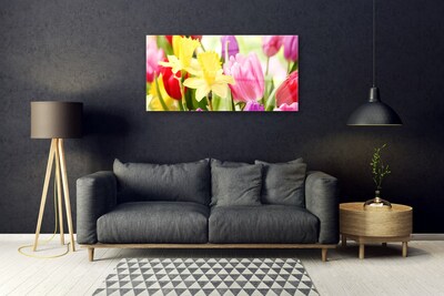 Schilderij op acrylglas Bloemen plant nature