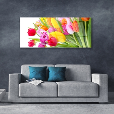 Schilderij op acrylglas Tulpen bloemen plant