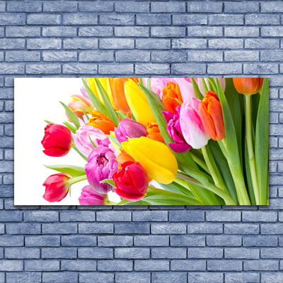 Schilderij op acrylglas Tulpen bloemen plant