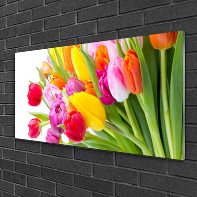 Schilderij op acrylglas Tulpen bloemen plant