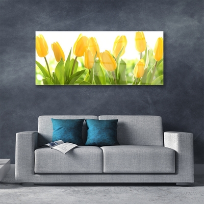 Schilderij op acrylglas Tulpen bloemen plant