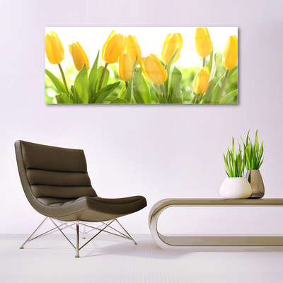 Schilderij op acrylglas Tulpen bloemen plant