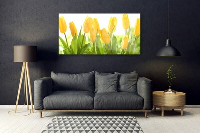 Schilderij op acrylglas Tulpen bloemen plant