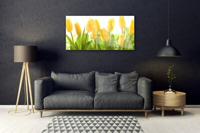 Schilderij op acrylglas Tulpen bloemen plant