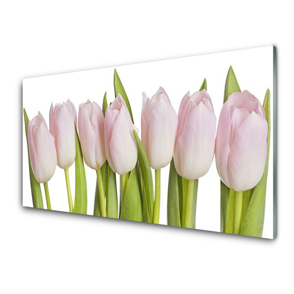 Schilderij op acrylglas Tulpen bloemen plant