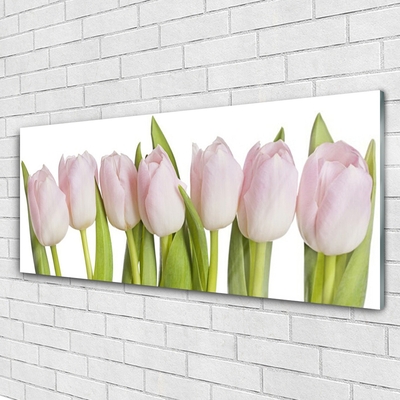 Schilderij op acrylglas Tulpen bloemen plant