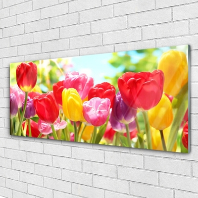 Schilderij op acrylglas Tulpen bloemen plant