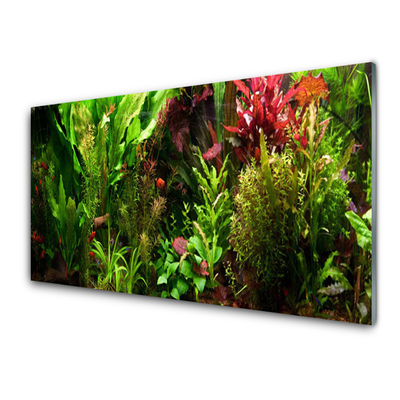 Schilderij op acrylglas Plant bloemen nature