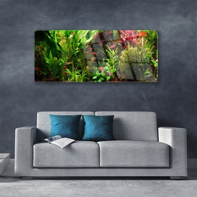 Schilderij op acrylglas Plant bloemen nature
