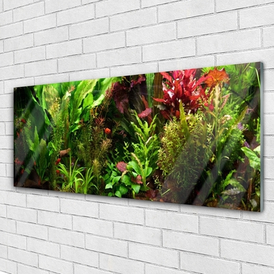 Schilderij op acrylglas Plant bloemen nature