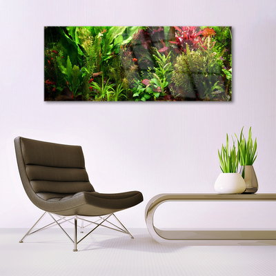 Schilderij op acrylglas Plant bloemen nature