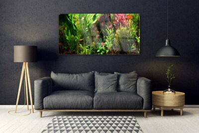 Schilderij op acrylglas Plant bloemen nature
