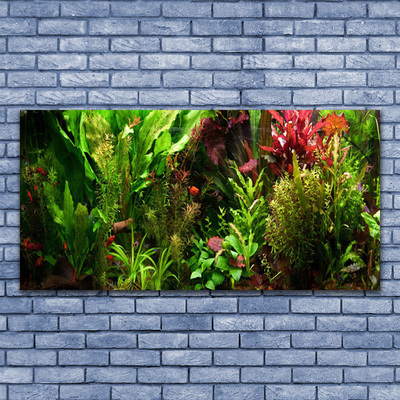 Schilderij op acrylglas Plant bloemen nature