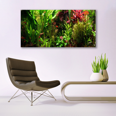 Schilderij op acrylglas Plant bloemen nature