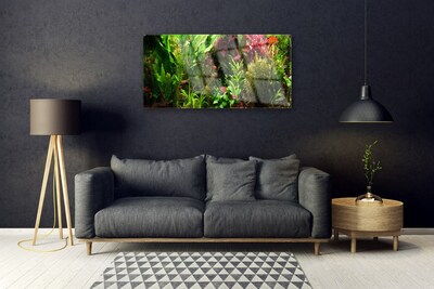 Schilderij op acrylglas Plant bloemen nature