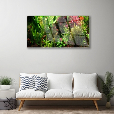 Schilderij op acrylglas Plant bloemen nature
