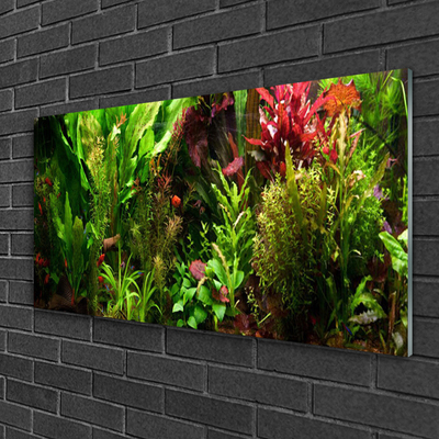 Schilderij op acrylglas Plant bloemen nature