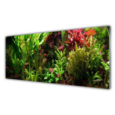 Schilderij op acrylglas Plant bloemen nature
