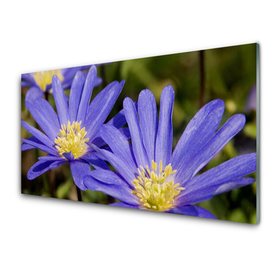 Schilderij op acrylglas Bloemen plant nature