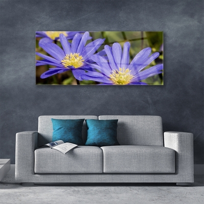 Schilderij op acrylglas Bloemen plant nature