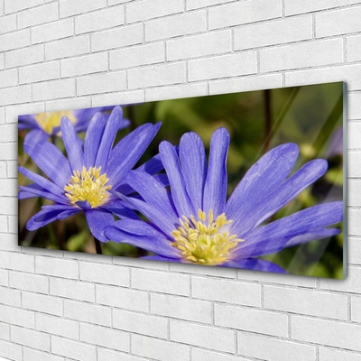 Schilderij op acrylglas Bloemen plant nature